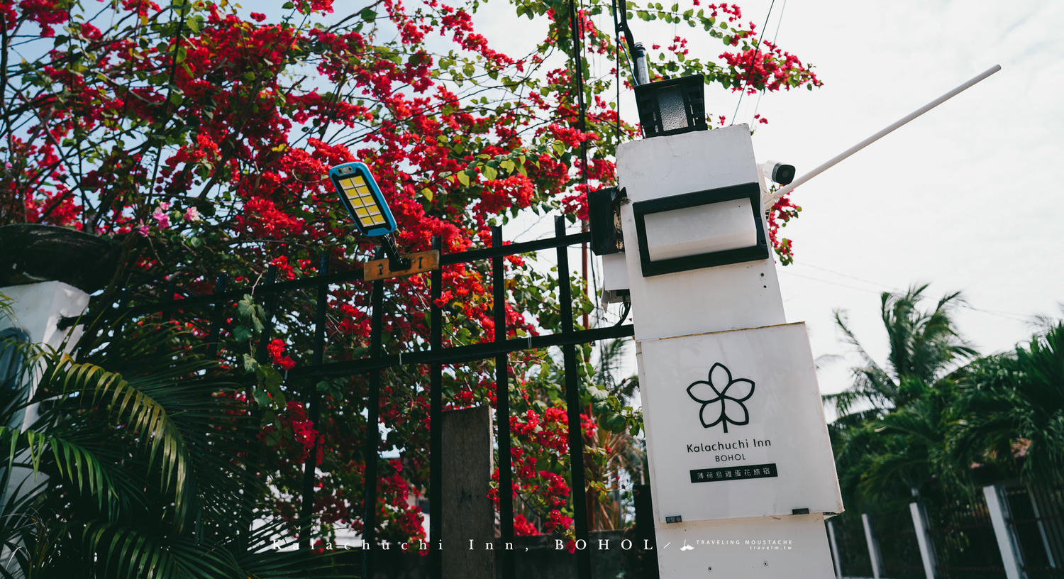 菲律賓薄荷島住宿推薦|雞蛋花旅宿 Kalachuchi Inn:台灣人經營的溫馨泳池民宿,薄荷島邦勞潛水、自由行絕佳基地 - 第9張圖