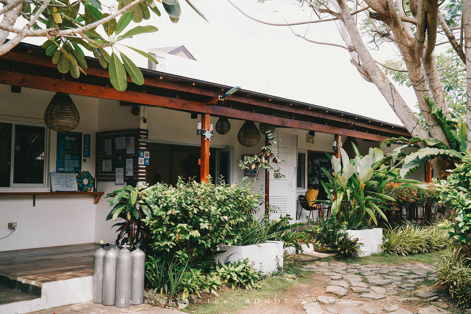菲律賓薄荷島住宿推薦|雞蛋花旅宿 Kalachuchi Inn:台灣人經營的溫馨泳池民宿,薄荷島邦勞潛水、自由行絕佳基地 - 第11張圖