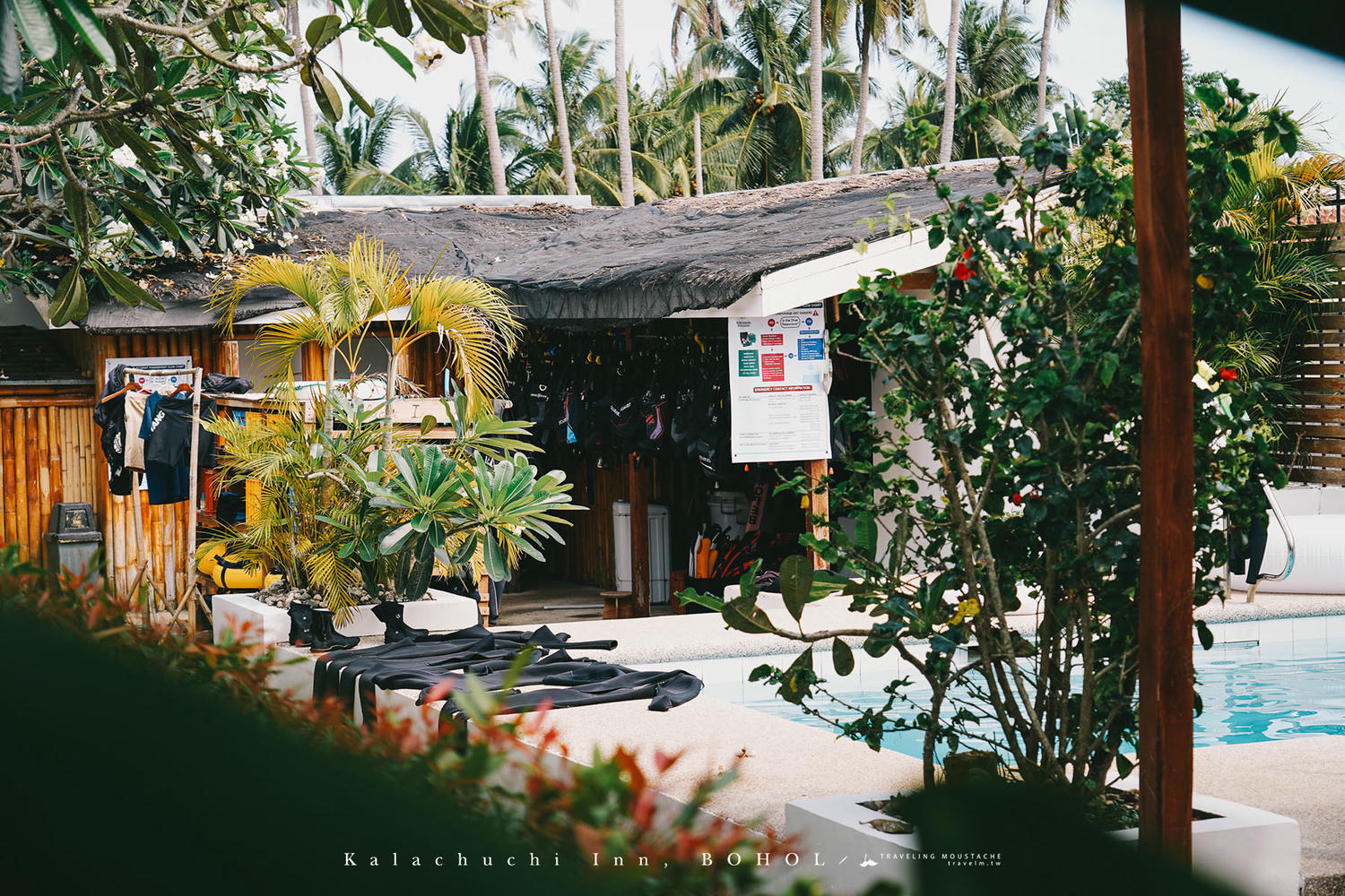 菲律賓薄荷島住宿推薦|雞蛋花旅宿 Kalachuchi Inn:台灣人經營的溫馨泳池民宿,薄荷島邦勞潛水、自由行絕佳基地 - 第24張圖