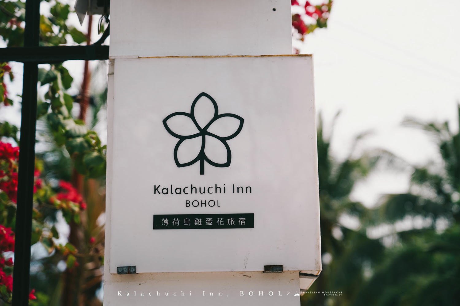 菲律賓薄荷島住宿推薦|雞蛋花旅宿 Kalachuchi Inn:台灣人經營的溫馨泳池民宿,薄荷島邦勞潛水、自由行絕佳基地 - 第39張圖