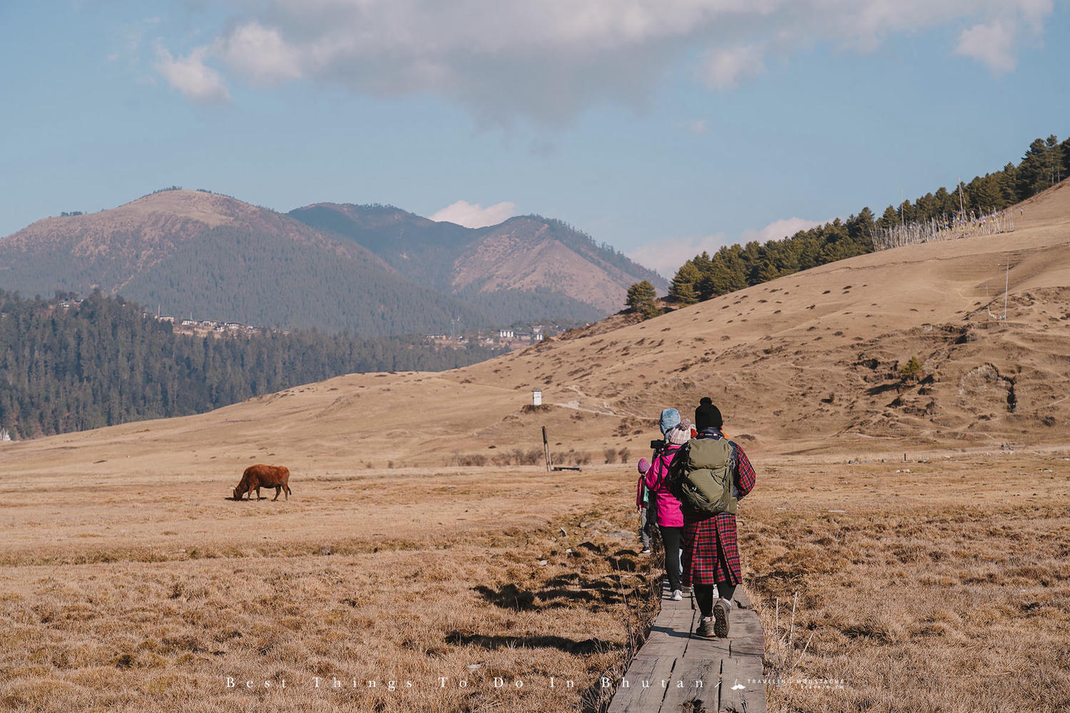 不丹旅遊|不丹景點與行程推薦:12 個不丹最佳旅行體驗。前往喜馬拉雅山麓的幸福國度。 - 第29張圖