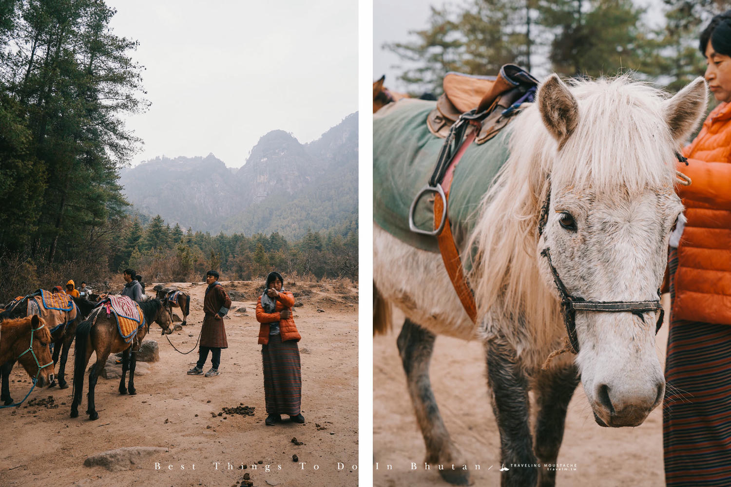 不丹旅遊|不丹景點與行程推薦:12 個不丹最佳旅行體驗。前往喜馬拉雅山麓的幸福國度。 - 第11張圖