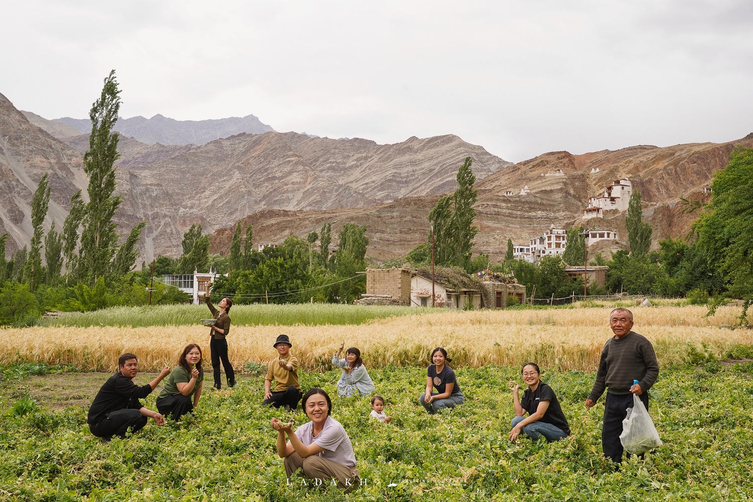 北北印 拉達克旅遊指南|自由行規劃一篇搞定:旅行季節、行程、交通、簽證、換匯、網卡、注意事項、旅行社推薦總整理 - 第31張圖 北北印 拉達克旅遊指南|自由行規劃一篇搞定:旅行季節、行程、交通、簽證、換匯、網卡、注意事項、旅行社推薦總整理