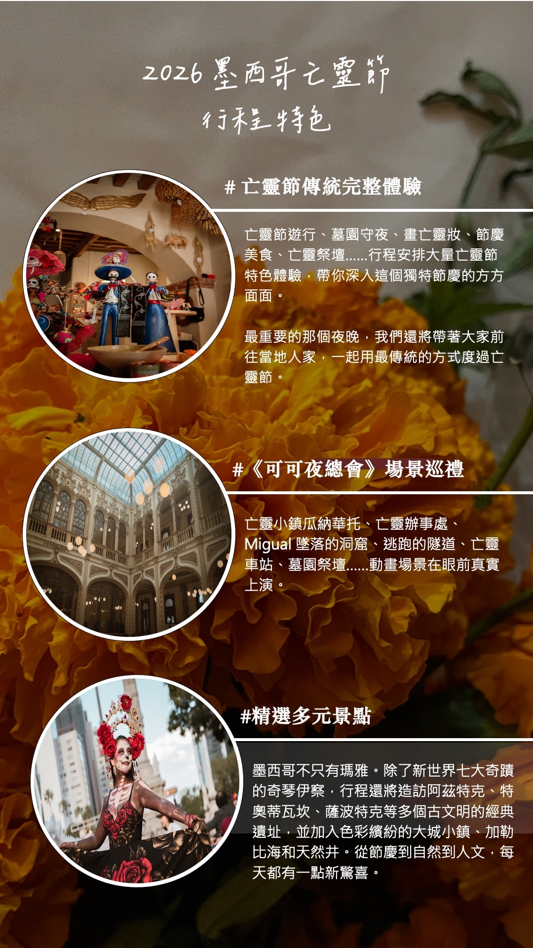 2026 年度揪團計劃:半自助小團精選行程 - 第10張圖 2026 年度揪團計劃:半自助小團精選行程