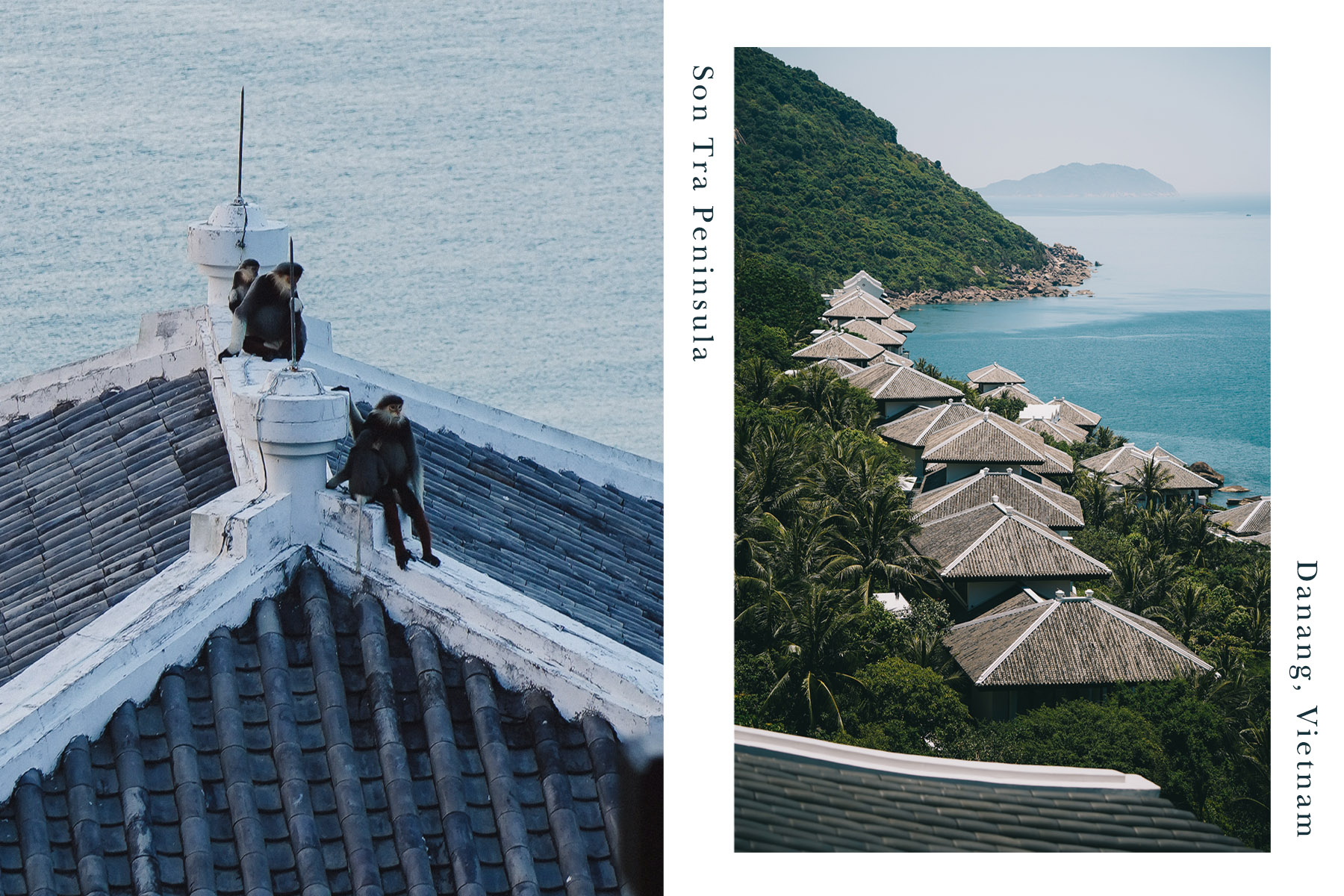峴港洲際陽光半島度假酒店開箱|奢旅越南山茶半島,與山海共眠,遇見設計大師 Bill Bensley 的奇幻世界 - 第8張圖 峴港洲際陽光半島度假酒店開箱|奢旅越南山茶半島,與山海共眠,遇見設計大師 Bill Bensley 的奇幻世界