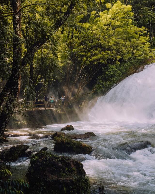 📍墨西哥．Agua Azul
-
奔騰大河咆哮著穿越恰帕斯州（Chiapas）的拉坎登叢林（Lacandon Jungle），
形成連串深具魅力的原始瀑布。
-
當時之所以報名從聖克里斯托瓦爾-德拉斯卡薩斯（San Cristóbal de Las Casas）前往帕倫克（Palenque）的一日遊，其實只是為了去帕倫克遺址的，沒想到，卻因此收穫了迷人的藍水瀑布 🙌

由於水中富含石灰等礦物質，當乾季到來，阿瓜阿祖爾 / 藍水瀑布（Cascadas de Agua Azul）的池水便會呈現仿若綠松石般的藍綠色調，瀑布也因而得名 —— Agua Azul 在西班牙語中即是「藍色之水」的意思。

雖然來錯了季節，導致瀑布完全不是網路上那夢幻的藍，但層層疊疊的瀑布與天然池水，灑落陽光形成的光束，還有河面上懸浮的水霧與彩虹，依舊讓人喜歡的不得了 ❤️

—— 

【 Agua Azul 旅行季節】

想看到網路上清澈而夢幻的藍綠池水，請在旱季來（約 11~5 月）。雨季瀑布雖然更為壯闊，但滂薄水勢卻會捲起河道的淤泥，讓水池變得混濁。

—— 

【 參觀訊息】

⏰ 開放時間：每天 8:00 至 20:00。

🎫 門票：M$50。前往 Agua Azul 的路上有一個假的收費亭，途中也會有人敲車窗要求收門票，這都是詐騙。請認明官方入口，並只在入口處付費給官方。一日遊團費已包含門票，不需另付。

🚗 交通：
藍水瀑布距帕倫克約 65 公里， 除了參加一日遊，也可以由帕倫克市區 Benito Juarez 和 5a. Pte Sur. 交叉口搭乘往 Ocosingo 方向的共享計程車（Colectivos）〔 M$50/人，車程約 1.5 小時，人滿發車，平均約 30 分鐘一班車〕至瀑布附近的公路口。由公路口至瀑布約 3 公里，基於安全考量，建議搭計程車〔 M$50/車 〕而非步行前往。

相關遊記和更多參觀注意事項 
🔍 travelm.tw

#俏鬍子遊墨西哥 
．
．
．
#mexico #méxico #mexicotravel #aguaazul #aguaazulchiapas #墨西哥 #墨西哥旅遊 #恰帕斯 #帕倫克 #palenque #palenquechiapas #travelphotography